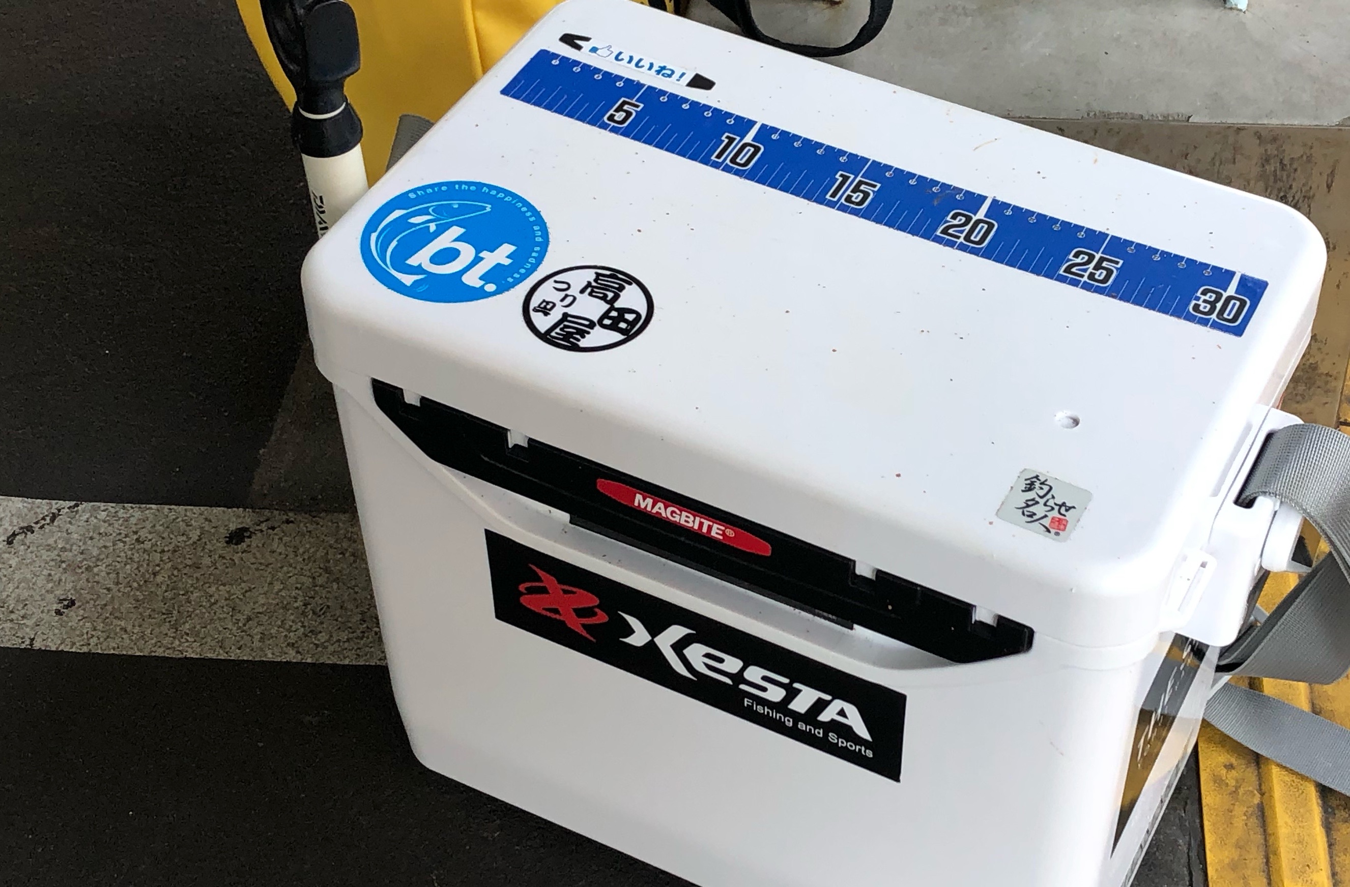 おすすめクーラーボックスdaiwa ミニクール のガッカリなところがとても好き Blue Tetristの釣りノート おすすめクーラーボックスdaiwa ミニクール のガッカリなところがとても好き Blue Tetristの釣りノート