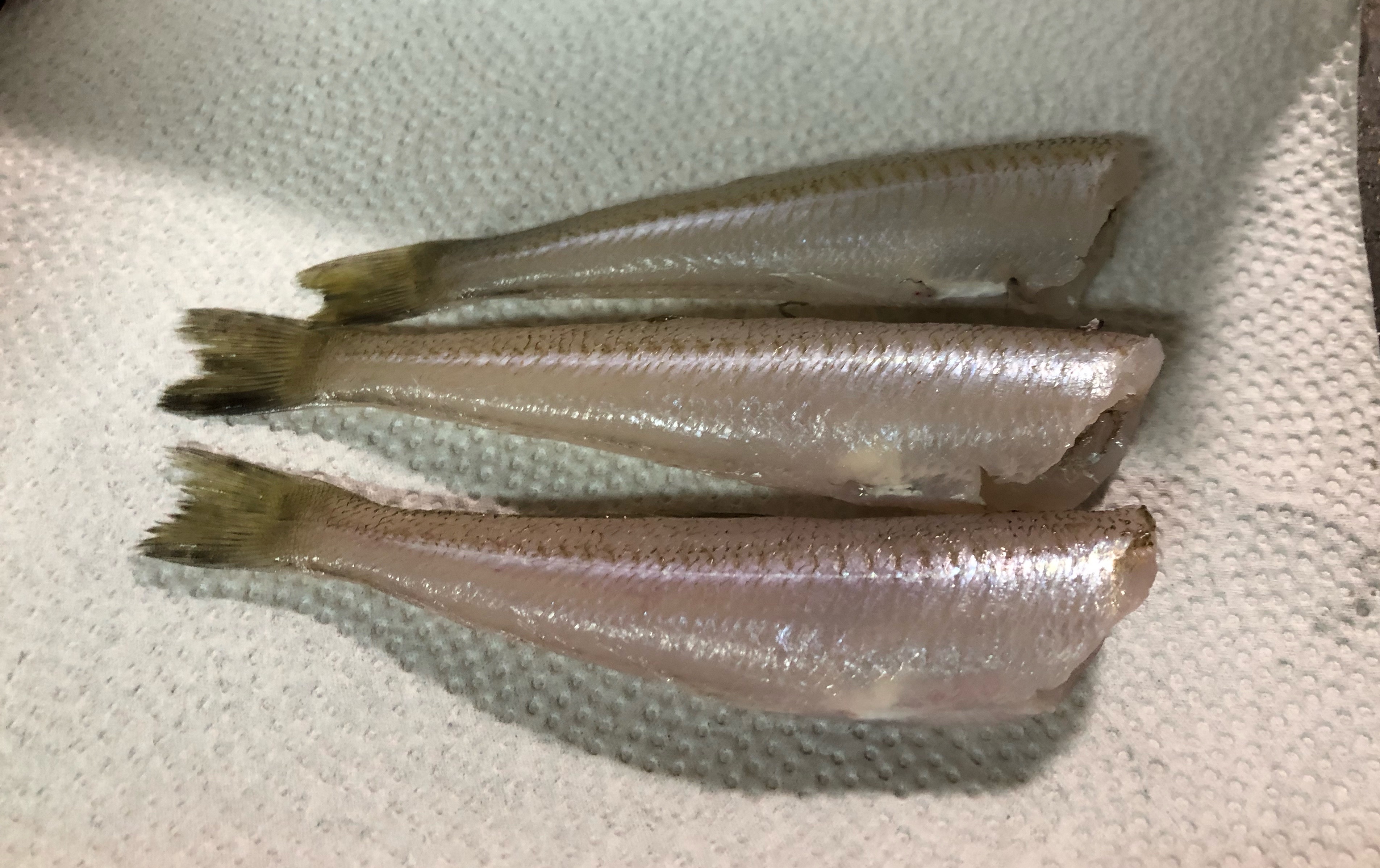 寝かせたキスの糸造りに卵黄の醤油漬けを乗せて Blue Tetristの釣りノート