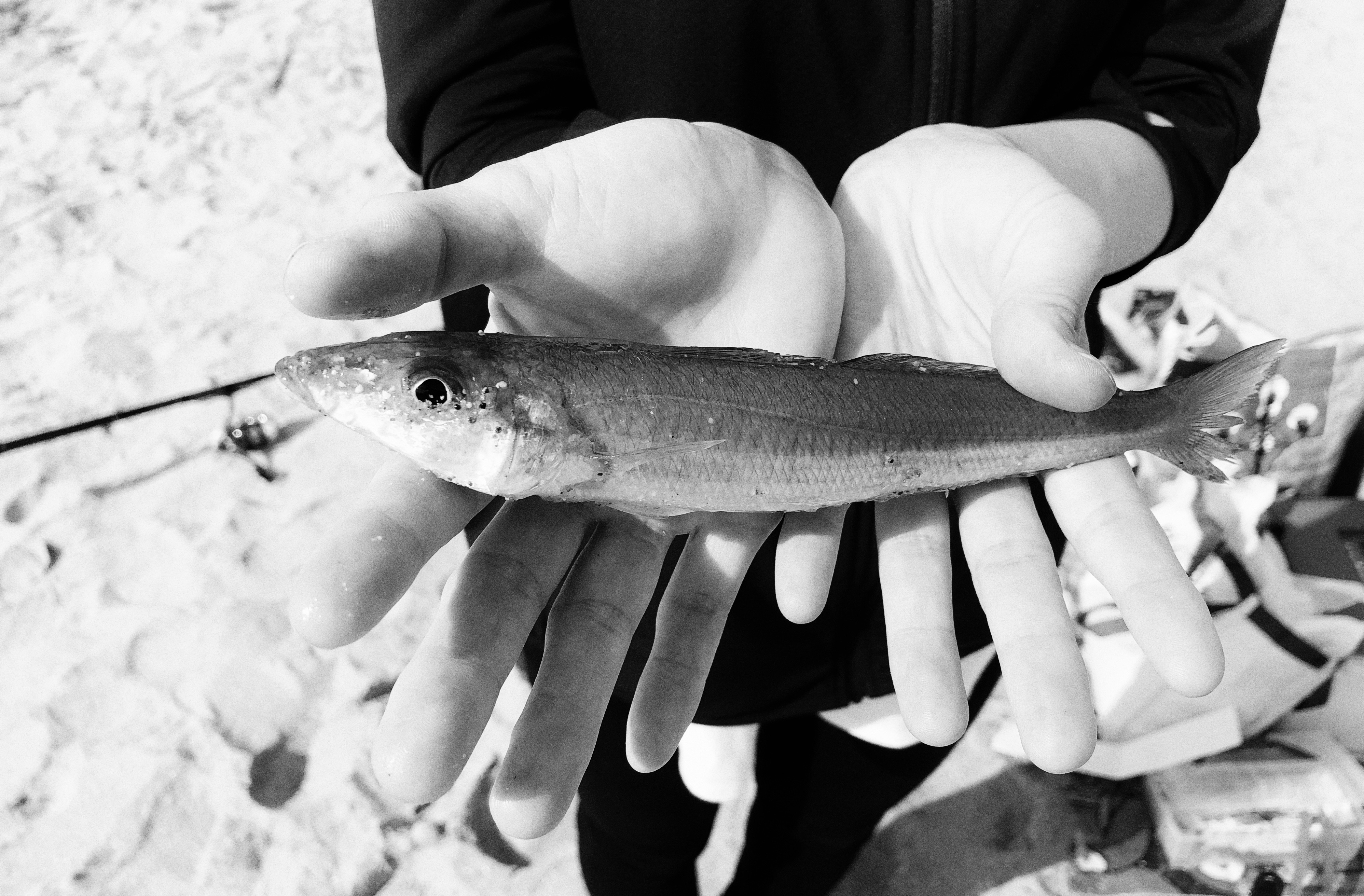 どう違う 投げ釣り と ちょい投げ 投げ釣り少年のジレンマ Blue Tetristの釣りノート