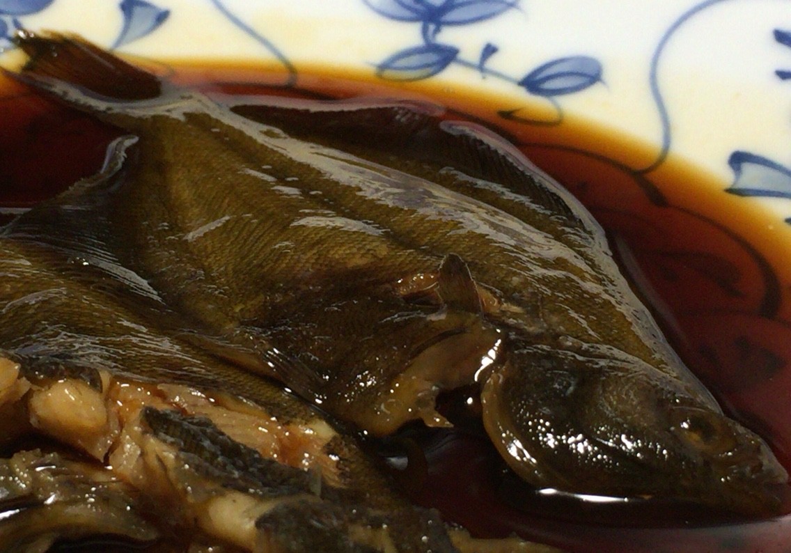 家内のカレイ煮付け 釣ってきた魚はクサイらしい Blue Tetristの釣りノート 家内のカレイ煮付け 釣ってきた魚はクサイらしい Blue Tetristの釣りノート