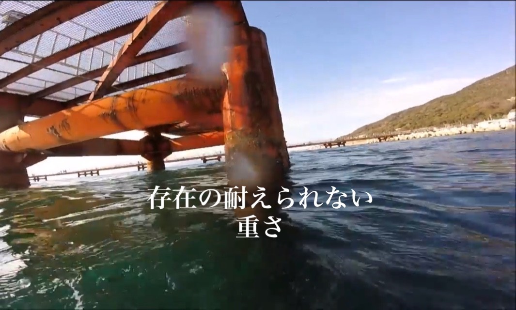 海づり公園の存在理由が不気味すぎる Blue Tetristの釣りノート 海づり公園の存在理由が不気味すぎる Blue Tetristの釣りノート