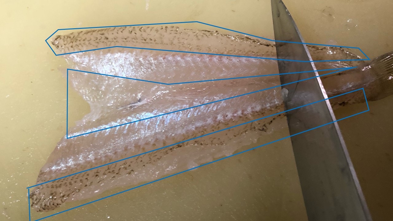 cm以下のキスの捌き方 天ぷら用の背開き をどこよりも詳しく紹介 Blue Tetristの釣りノート