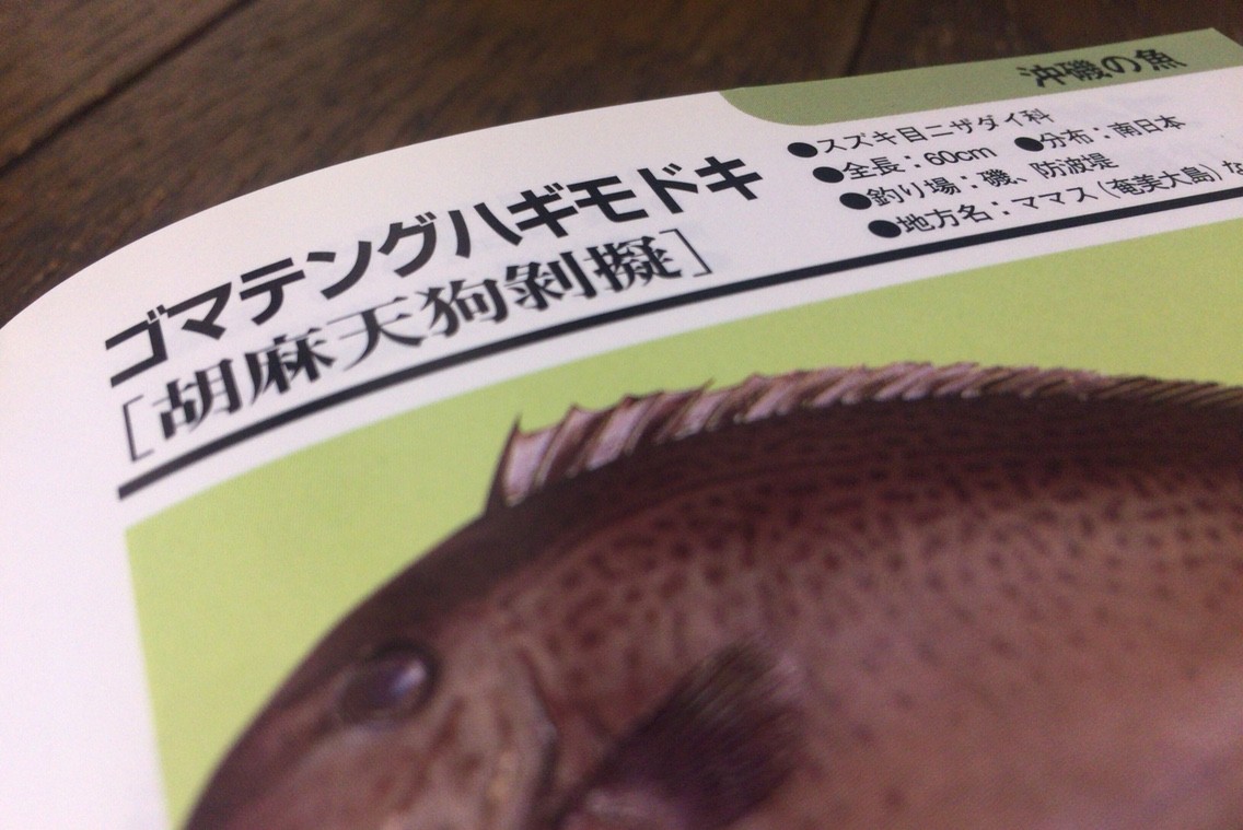 全釣り師の 必需品 おすすめ魚図鑑 Blue Tetristの釣りノート 全釣り師の 必需品 おすすめ魚図鑑 Blue Tetristの釣りノート
