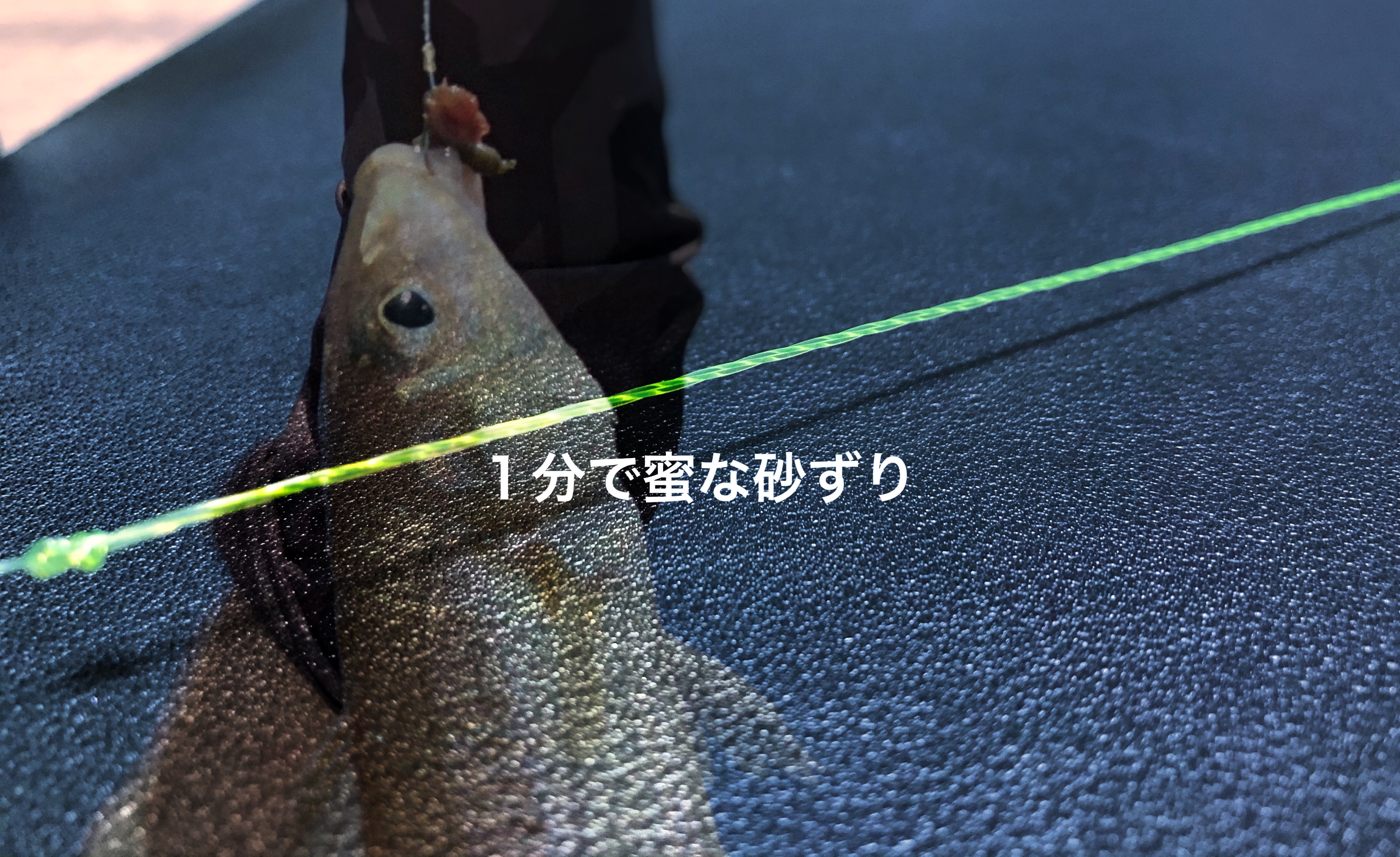 簡単1分 実戦的な砂ずりの蜜できれいな作り方 キス釣り仕掛け用 Blue Tetristの釣りノート