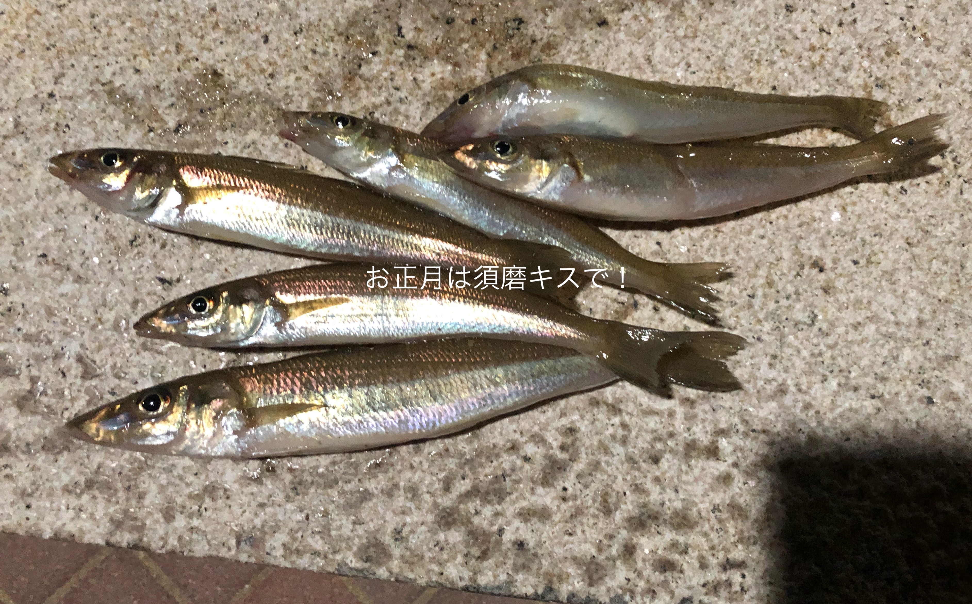 まだ釣れた 冬の須磨で良型キスを釣る方法 Blue Tetristの釣りノート まだ釣れた 冬の須磨で良型キスを釣る方法 Blue Tetristの釣りノート
