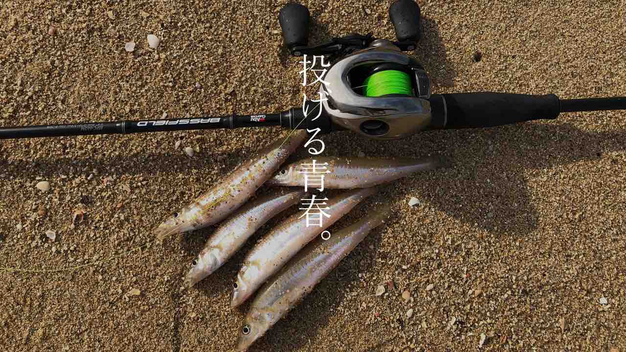 須磨のキス釣り短時間連発！アンタレスDCで甦る青春 : blue tetristの