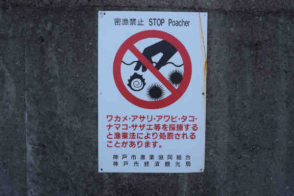 須磨海岸のタコ釣りで罰金万円を喰らわない方法 Blue Tetristの釣りノート