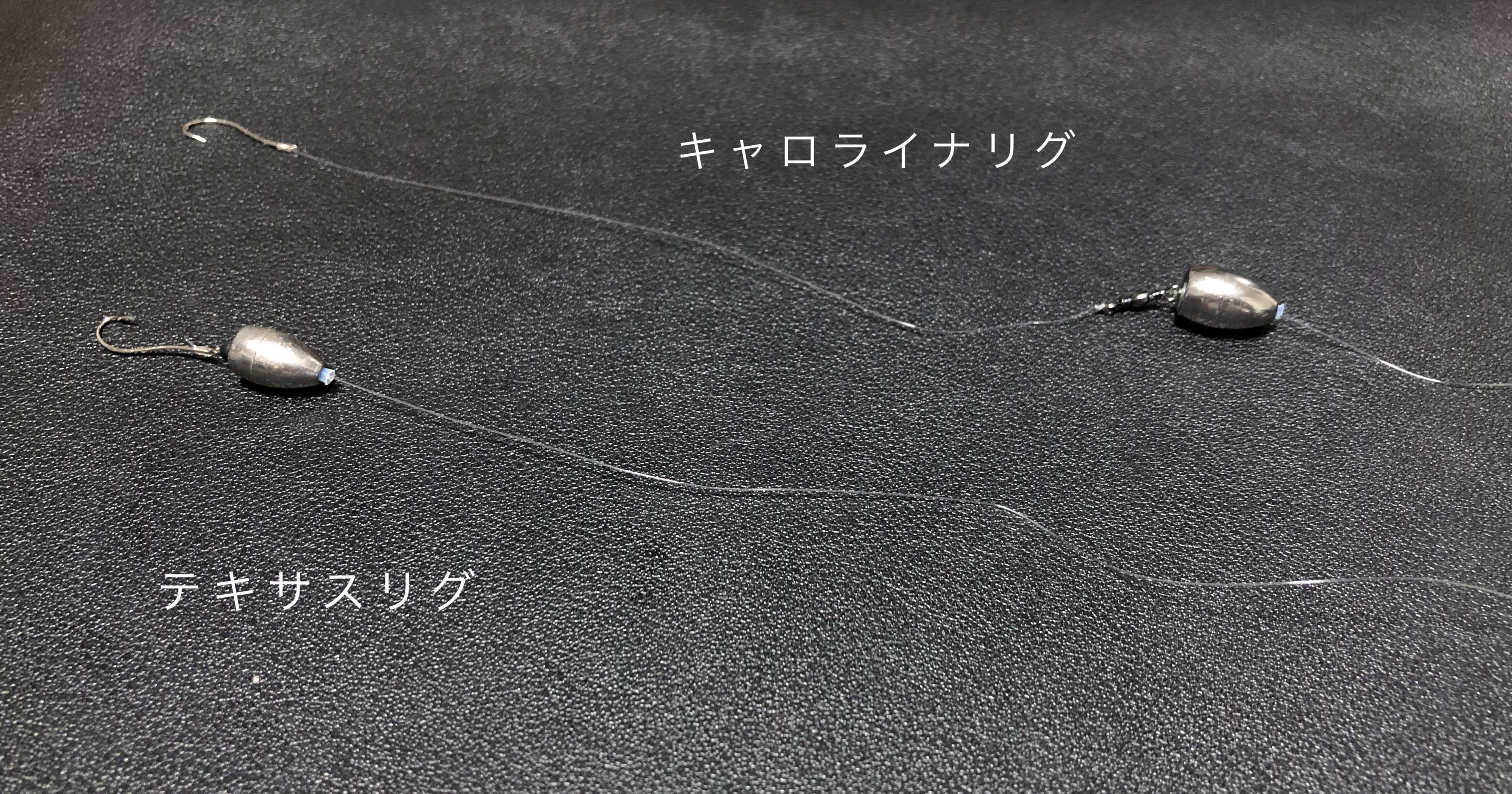 実戦 テキサスリグで 攻めのちょい投げ キス釣り Blue Tetristの釣りノート 実戦 テキサスリグで 攻めのちょい投げ キス釣り Blue Tetristの釣りノート