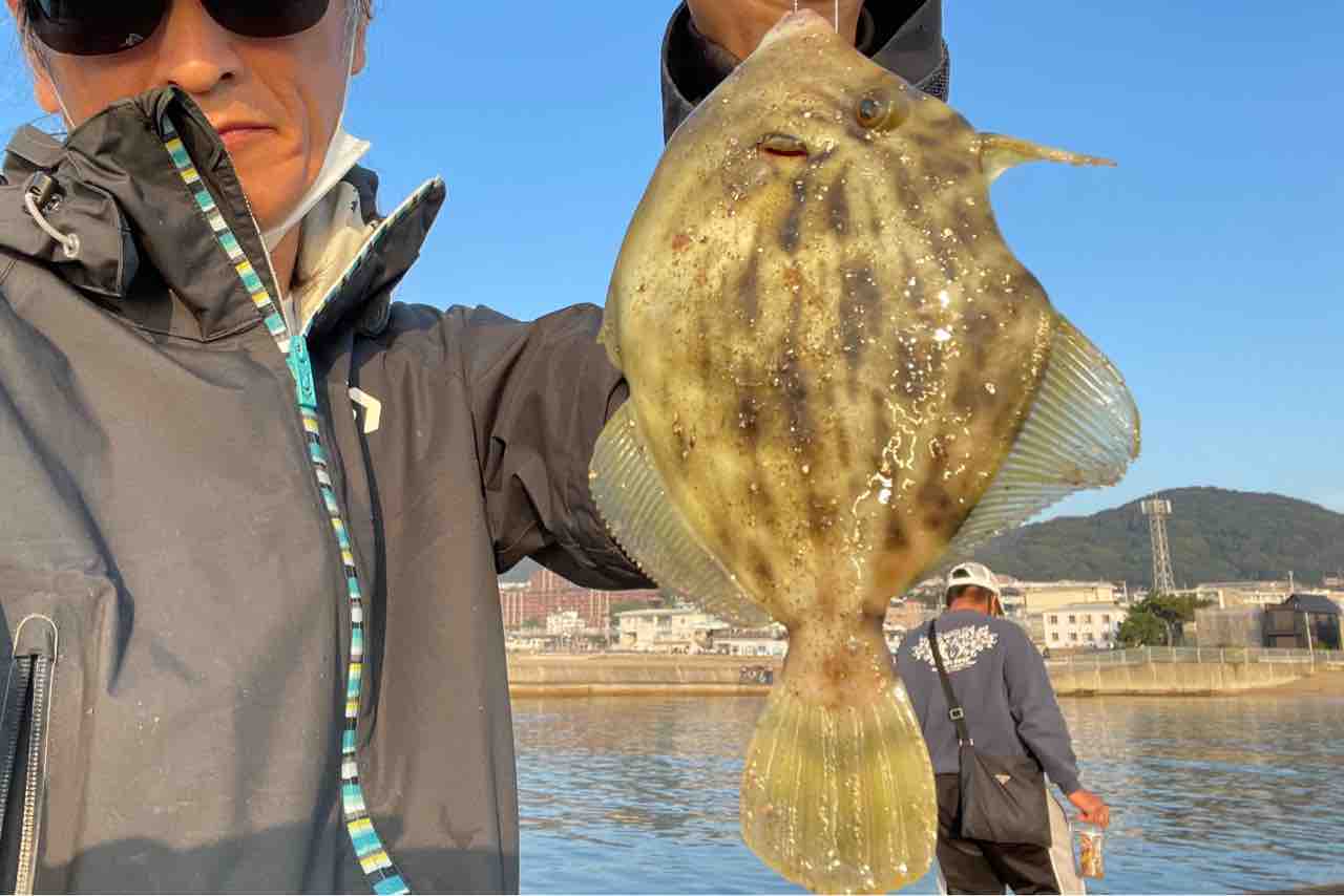 実戦で変わる常識 カワハギは 横の釣り キャロライナリグで簡単サイズアップ Blue Tetristの釣りノート