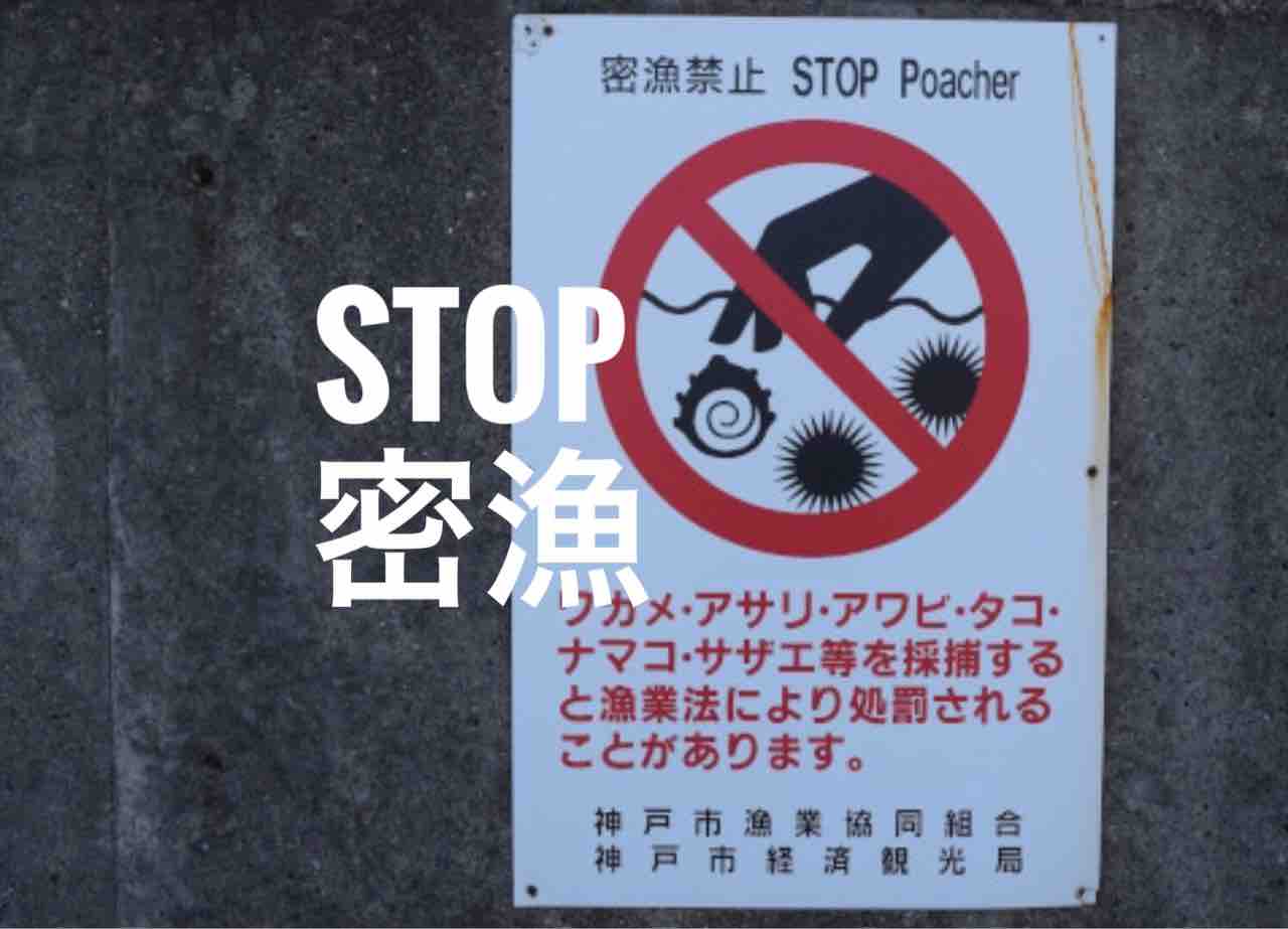 須磨海岸のタコ釣りで罰金万円を喰らわない方法 Blue Tetristの釣りノート
