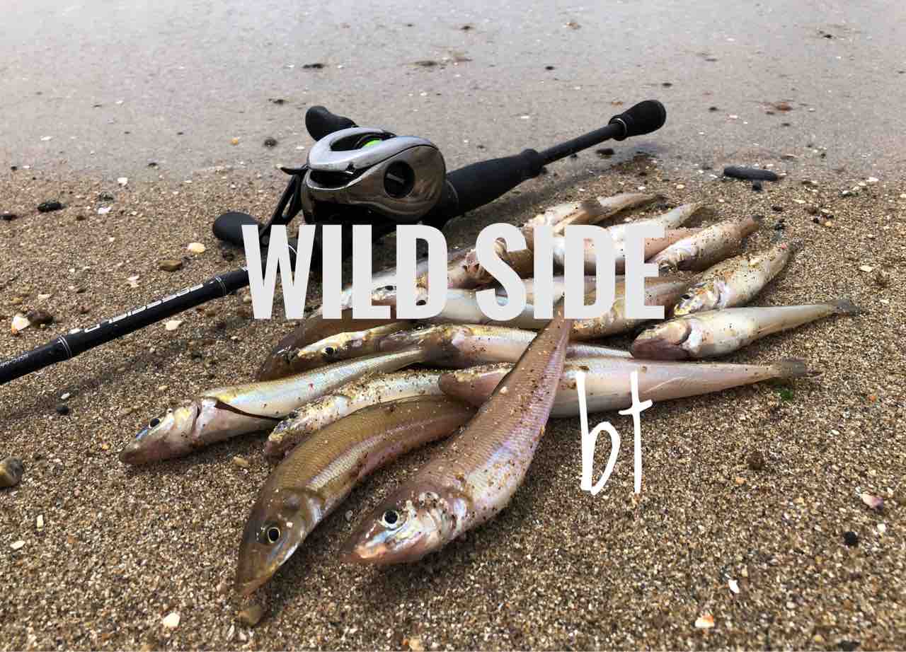 実戦 スマホで分かるキスが釣れる日 初心者向け潮の読み方と中級者への道 Blue Tetristの釣りノート