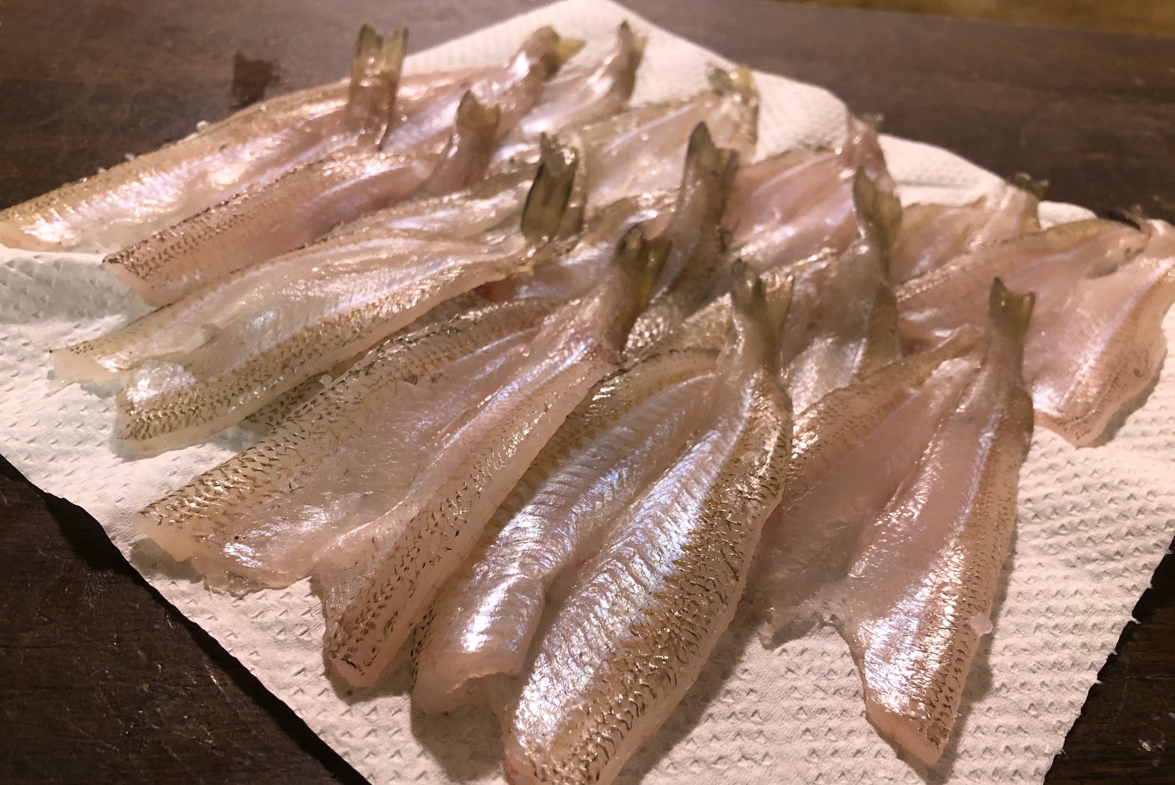 秋のアオリイカで試したい簡単パン粉焼き Blue Tetristの釣りノート 秋のアオリイカで試したい簡単パン粉焼き Blue Tetristの釣りノート