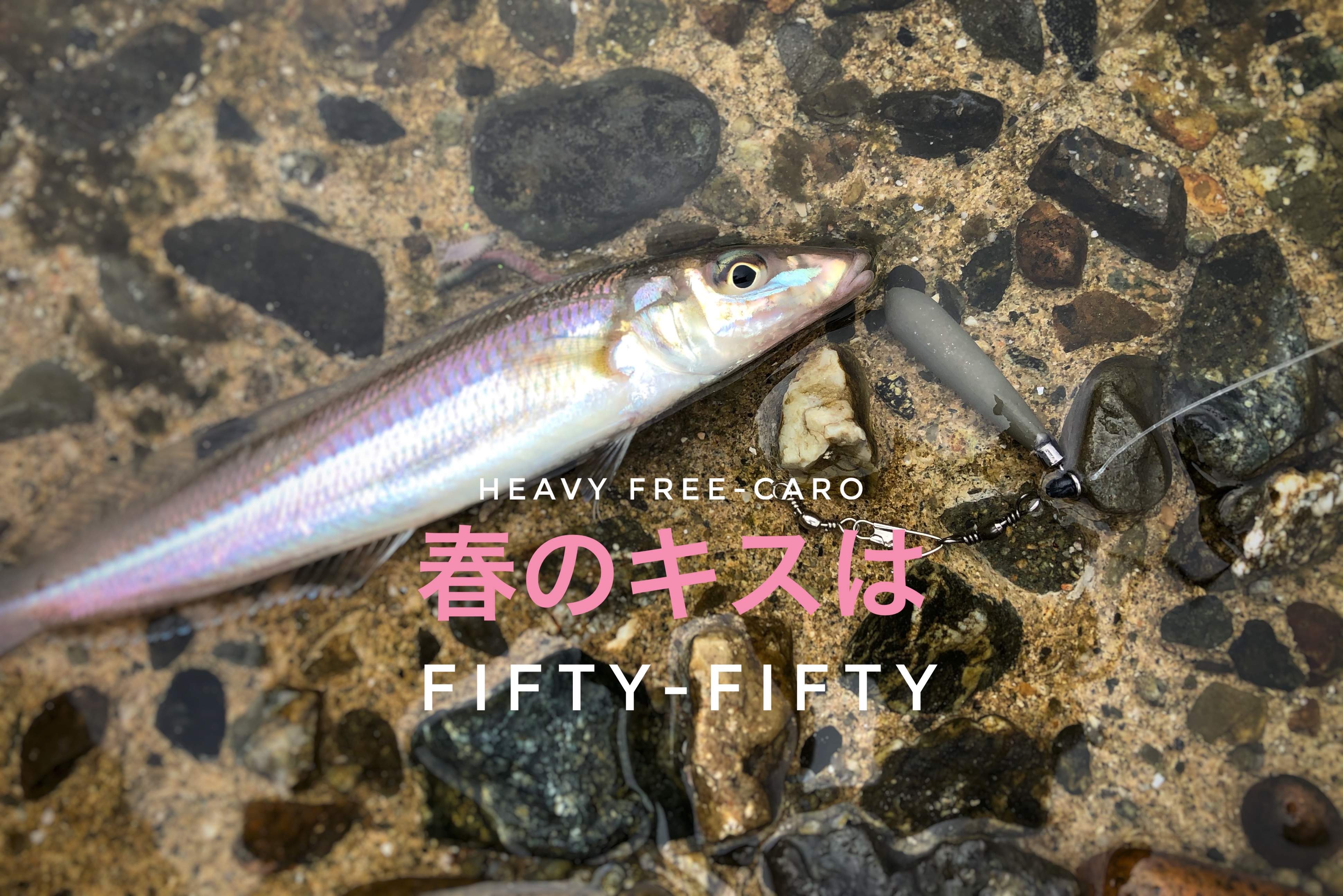 須磨の春キスはヘビキャロ フリーリグでサイズを狙おう Blue Tetristの釣りノート 須磨の春キスはヘビキャロ フリーリグでサイズを狙おう Blue Tetristの釣りノート