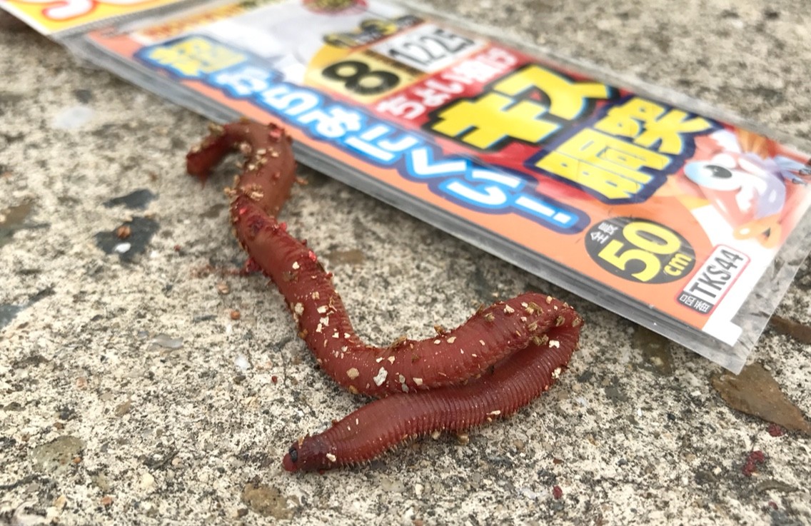 乗っ込みの大ギス カワハギ ヒラメを狙う Blue Tetristの釣りノート 乗っ込みの大ギス カワハギ ヒラメを狙う Blue Tetristの釣りノート