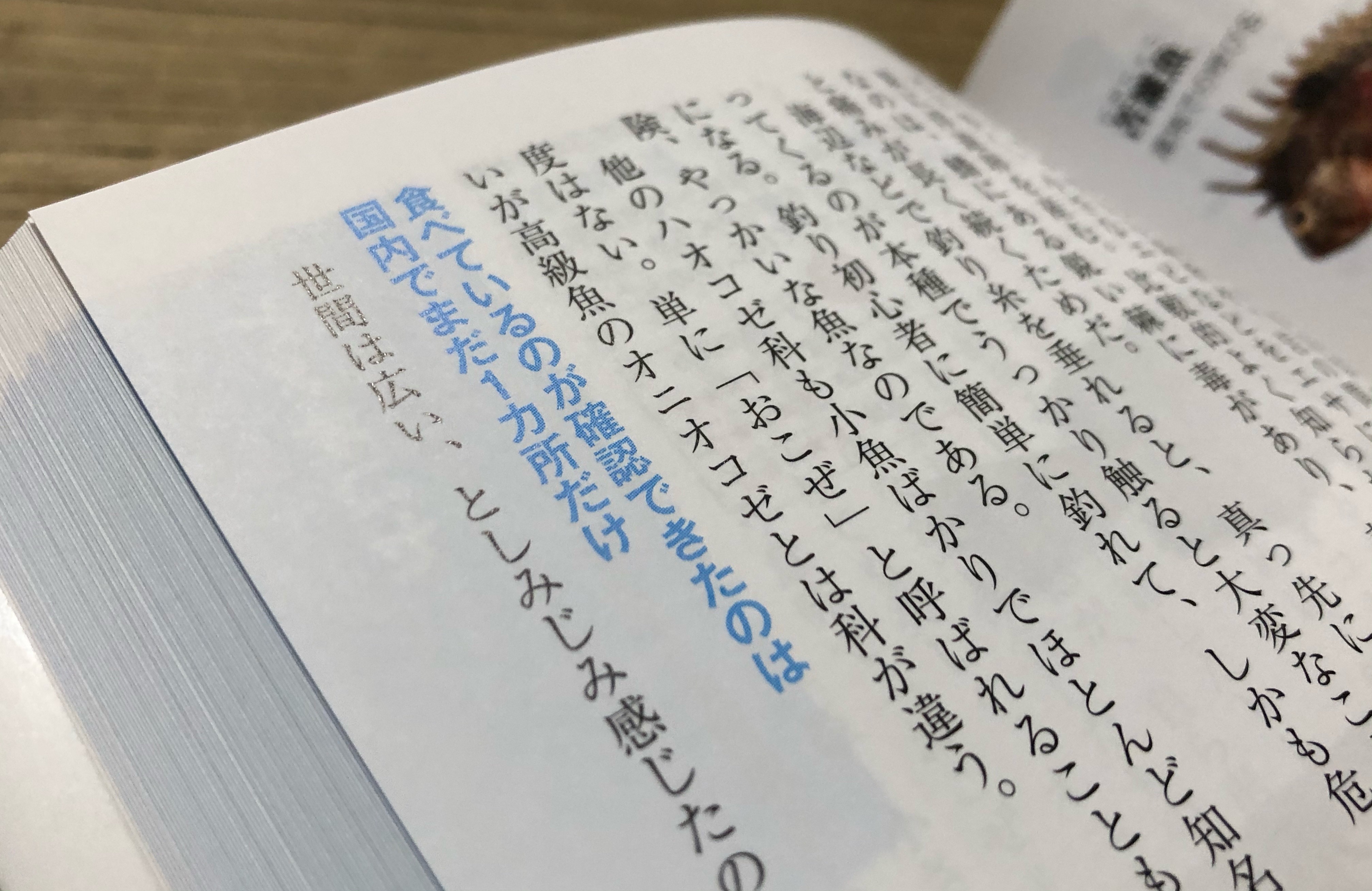 全国に1ヶ所だけハオコゼを食べる地域があるらしい Blue Tetristの釣りノート 全国に1ヶ所だけハオコゼを食べる地域があるらしい Blue Tetristの釣りノート
