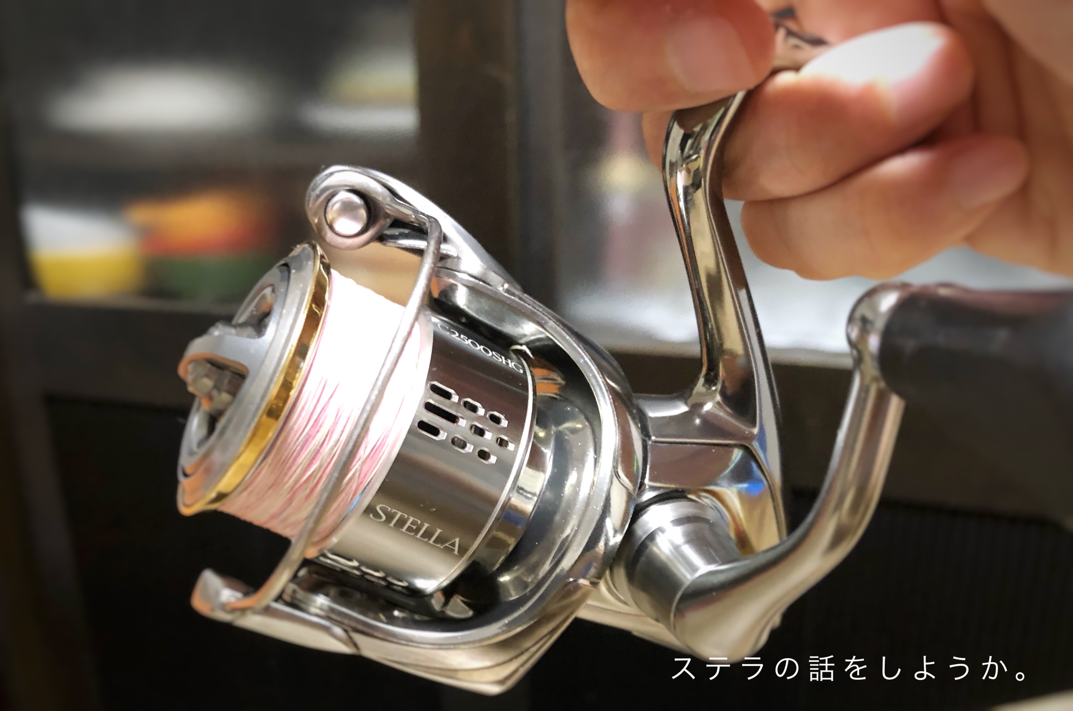 FINALSALE対象商品30％OFF！ 18 ステラ C3000MHG SHIMANO - fullgauge.com