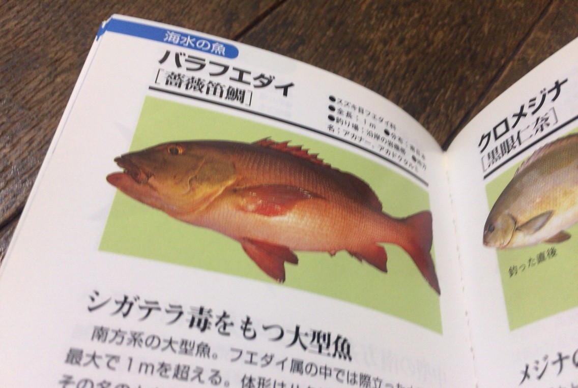 全釣り師の 必需品 おすすめ魚図鑑 Blue Tetristの釣りノート