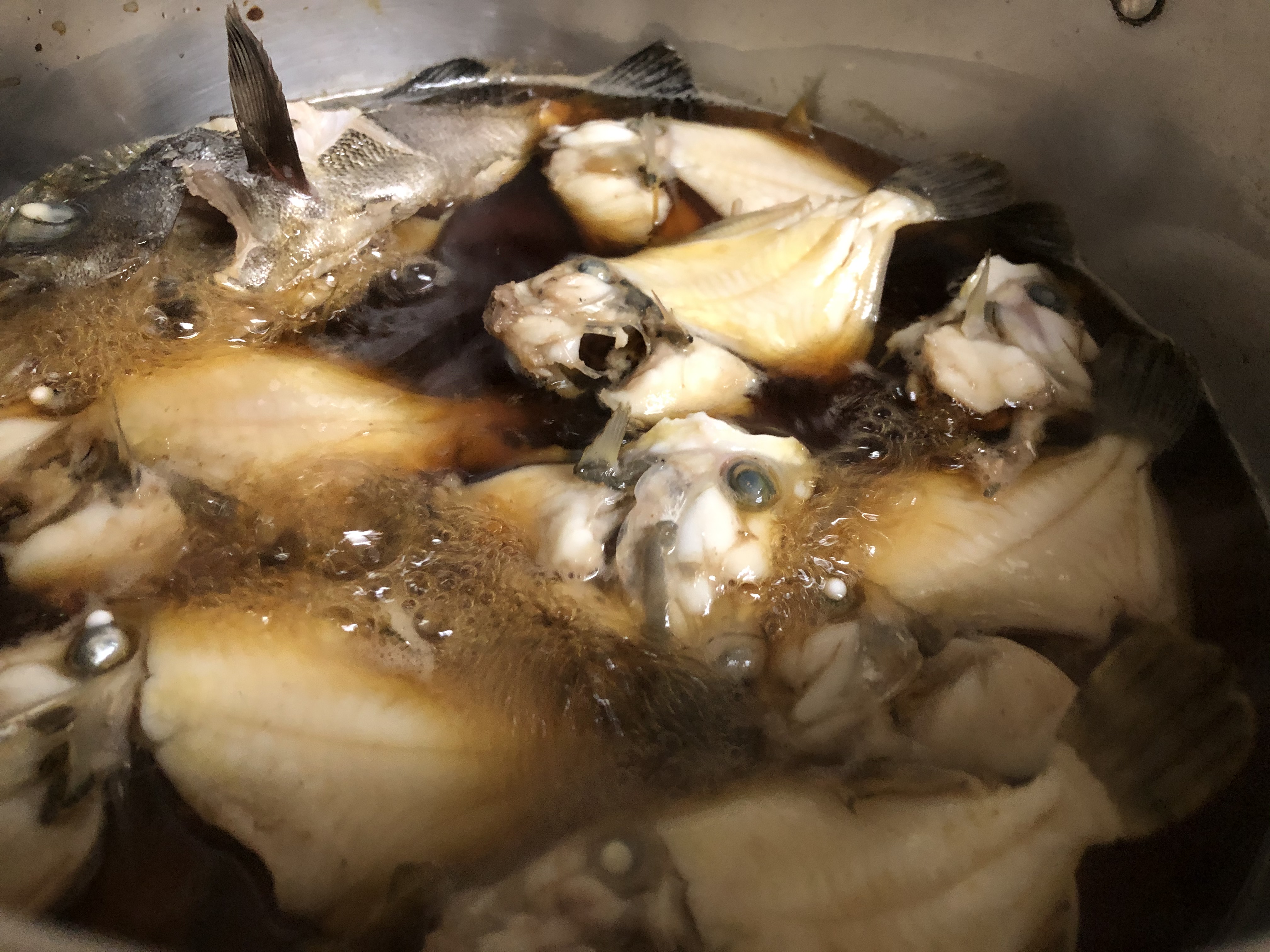 爆釣 須磨カワハギをキャッチ 薄造り 煮付け Blue Tetristの釣りノート