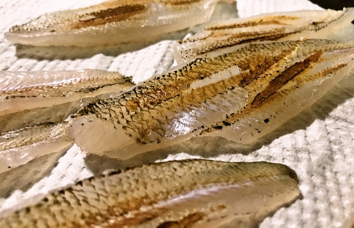 釣魚料理図鑑 我が家でさばこう うまい魚１０１ 西潟正人 欲しいの
