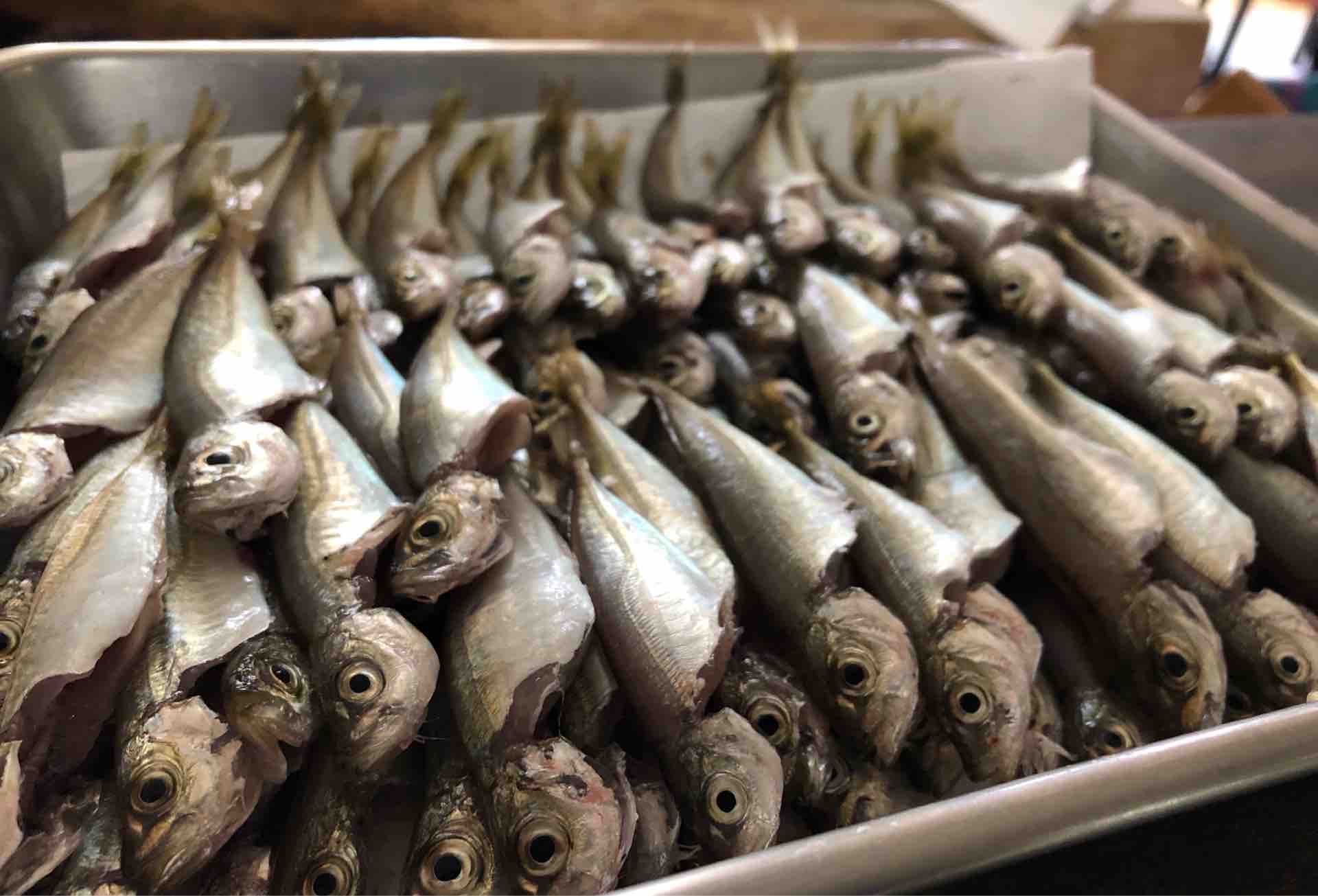 6 16須磨へ急げ 豆アジで唐揚げ 南蛮漬け Blue Tetristの釣りノート 6 16須磨へ急げ 豆アジで唐揚げ 南蛮漬け Blue Tetristの釣りノート