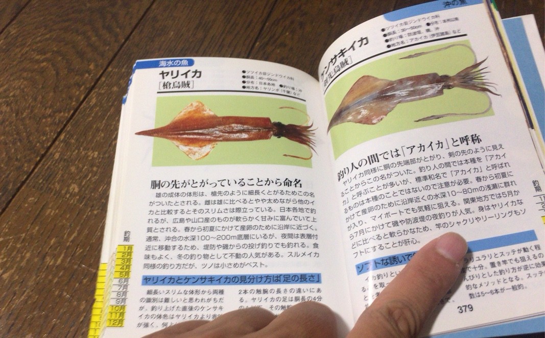 全釣り師の 必需品 おすすめ魚図鑑 Blue Tetristの釣りノート 全釣り師の 必需品 おすすめ魚図鑑 Blue Tetristの釣りノート