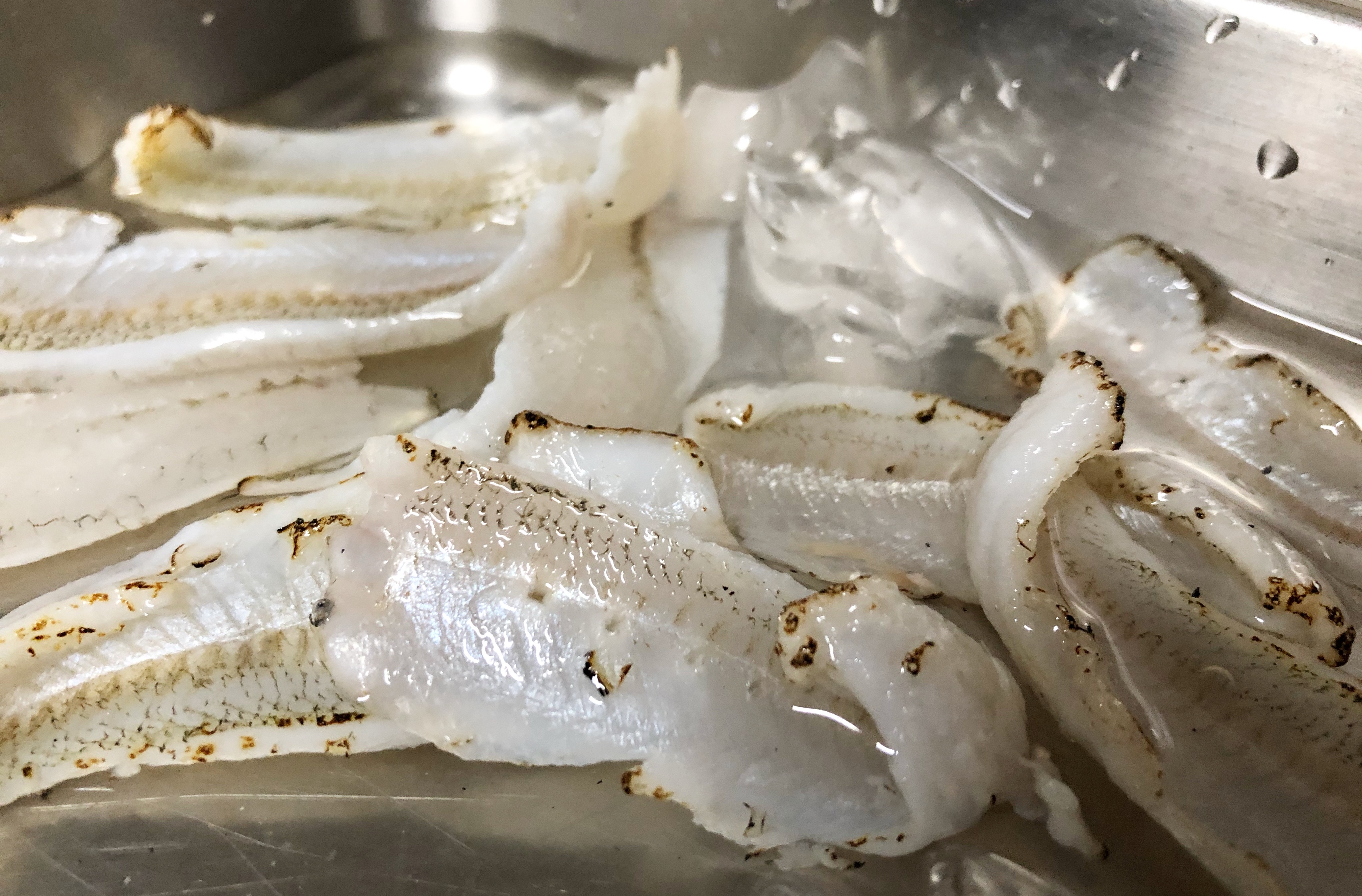 江戸のイキを味わう キスの 信楽煮 茶漬け Blue Tetristの釣りノート