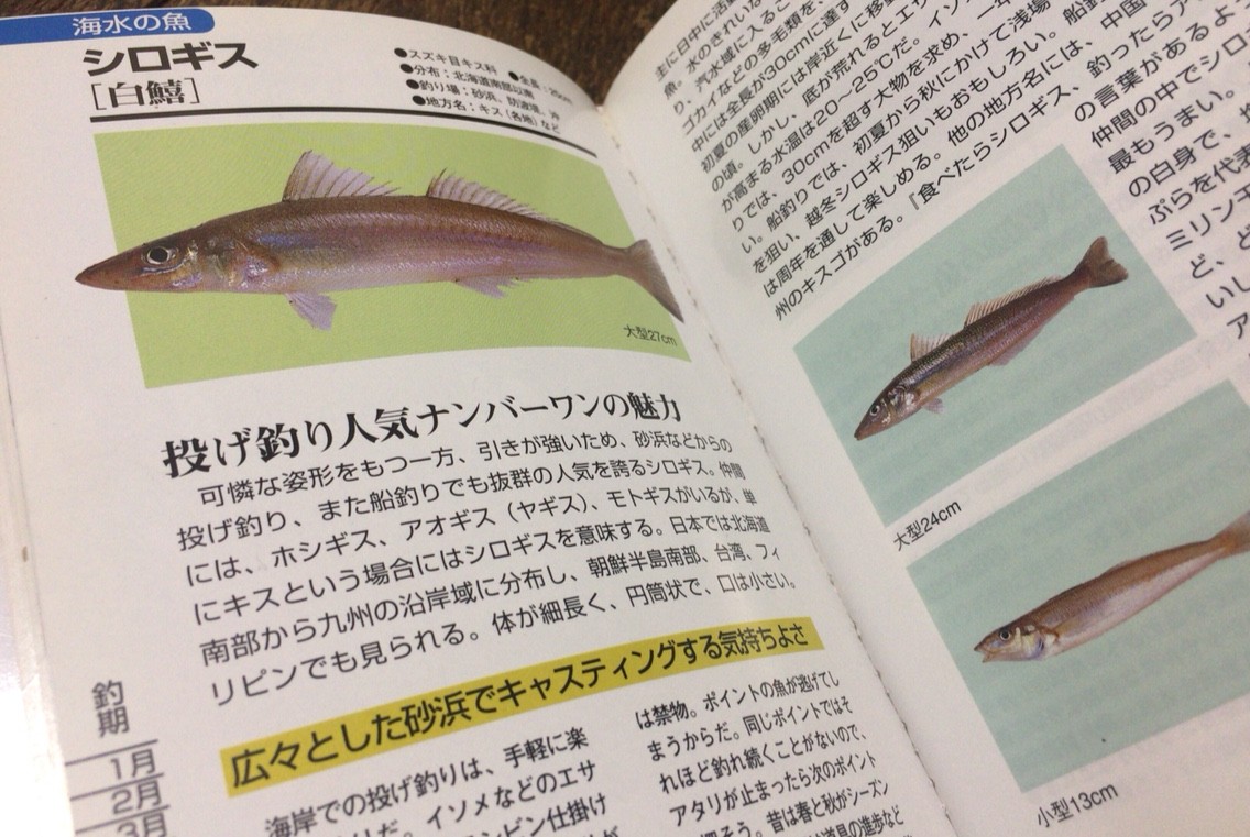 全釣り師の 必需品 おすすめ魚図鑑 Blue Tetristの釣りノート 全釣り師の 必需品 おすすめ魚図鑑 Blue Tetristの釣りノート