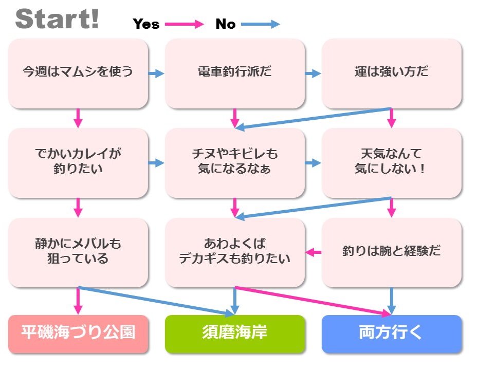 今日もカレイ絶好調 週末の狙い目yes Noチャート付 Blue Tetristの釣りノート