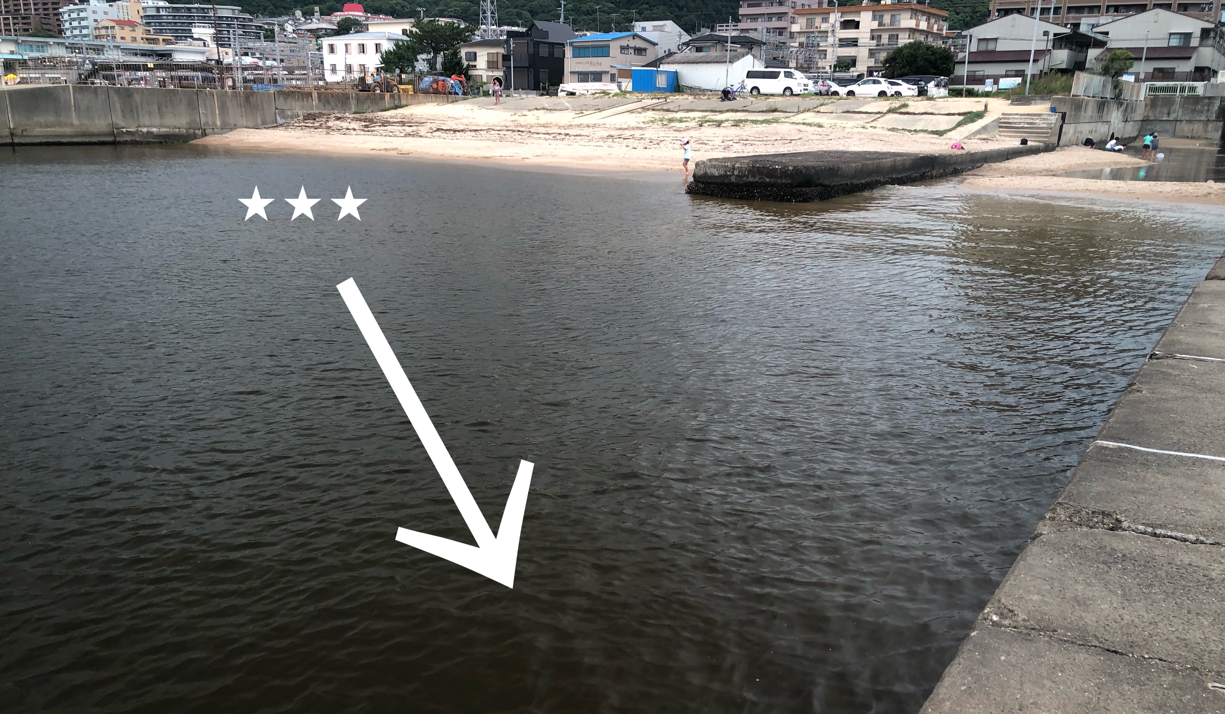 実戦 雨の後の濁り対策 場所選びと自作キス釣り仕掛けを公開 Blue Tetristの釣りノート 実戦 雨の後の濁り対策 場所選びと自作キス釣り仕掛けを公開 Blue Tetristの釣りノート