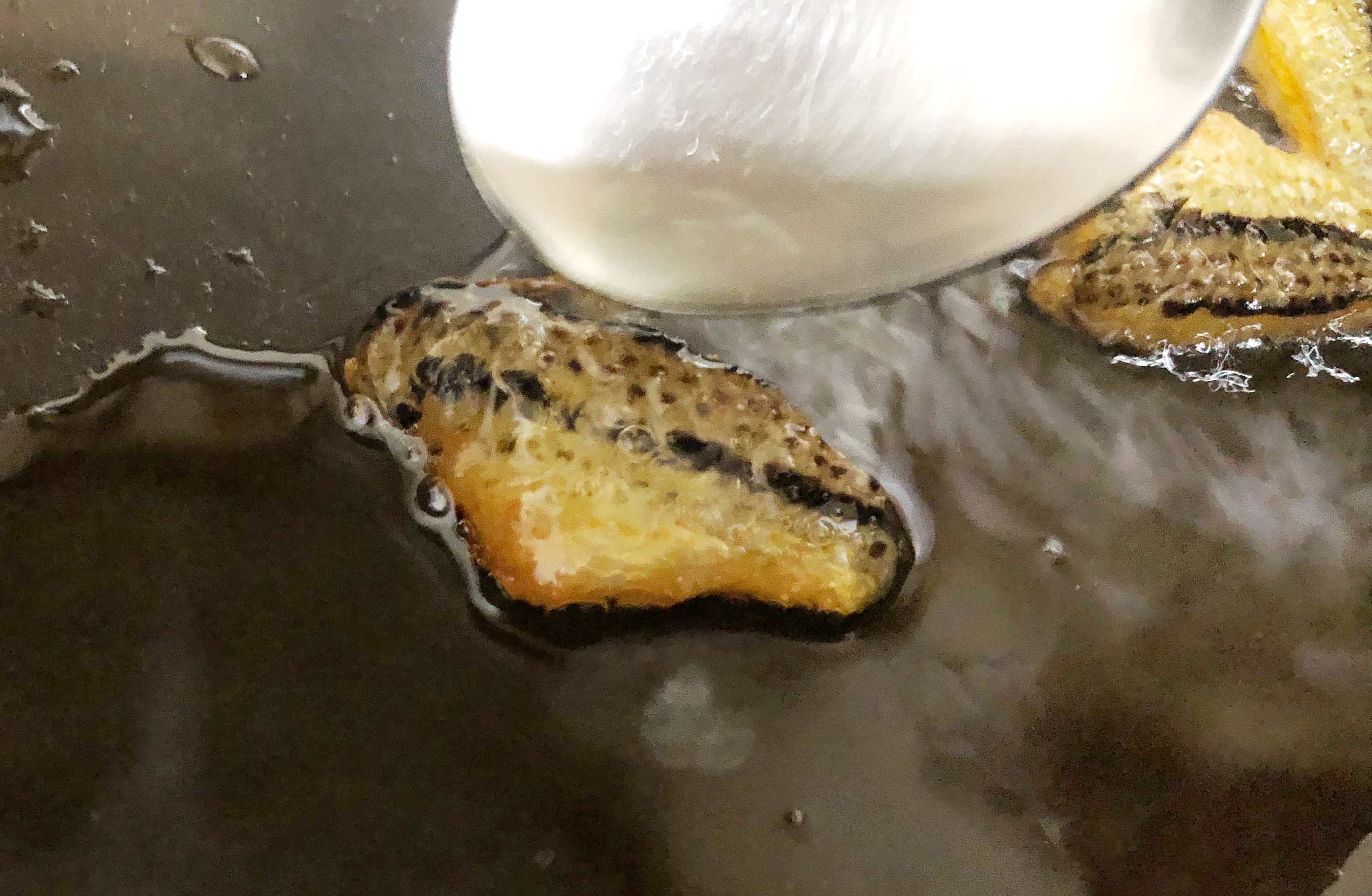 ヌメリ 鱗取り不要 キス釣りの外道ベラとガッチョの簡単極上レシピ Blue Tetristの釣りノート ヌメリ 鱗取り不要 キス釣りの外道ベラとガッチョの簡単極上レシピ Blue Tetristの釣りノート