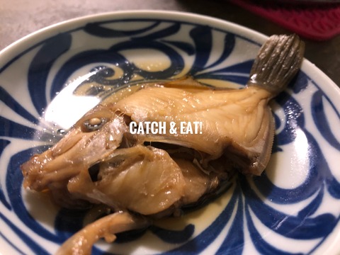 爆釣 須磨カワハギをキャッチ 薄造り 煮付け Blue Tetristの釣りノート