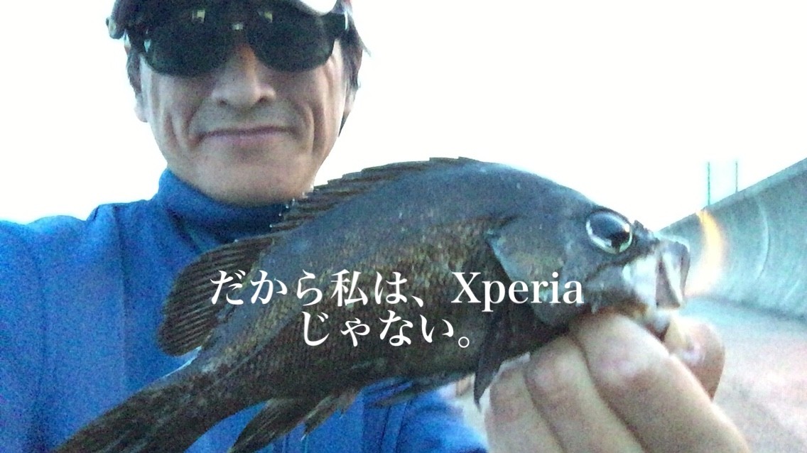 だから私は Xperia ではない Blue Tetristの釣りノート