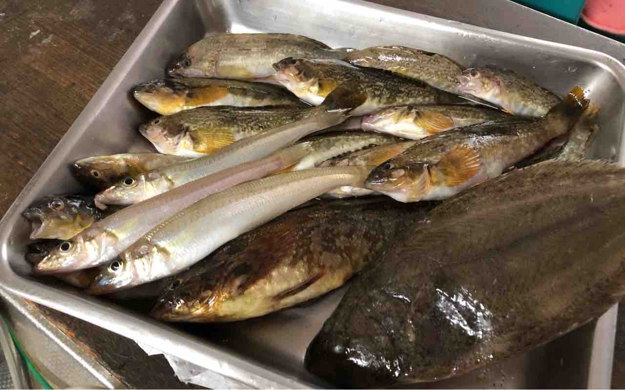 釣れた小魚で 濃いスープドポワソン ブイヤベースとはどう違う Blue Tetristの釣りノート