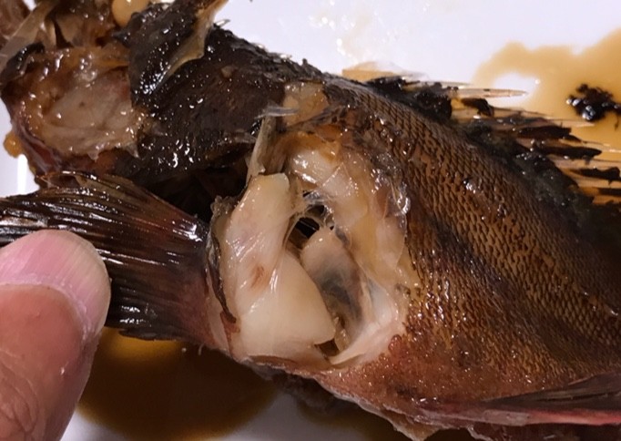 ガシラの煮付け 旨い所を捨ててませんか Blue Tetristの釣りノート