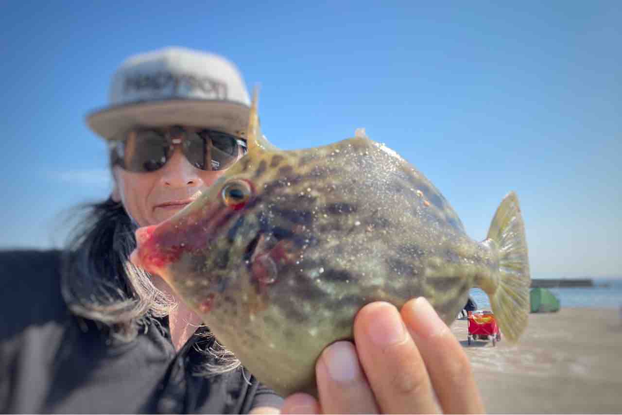 実戦 カワハギ釣り餌の付け方の基本 青虫 アオイソメ 篇 Blue Tetristの釣りノート 実戦 カワハギ釣り餌の付け方の基本 青虫 アオイソメ 篇 Blue Tetristの釣りノート