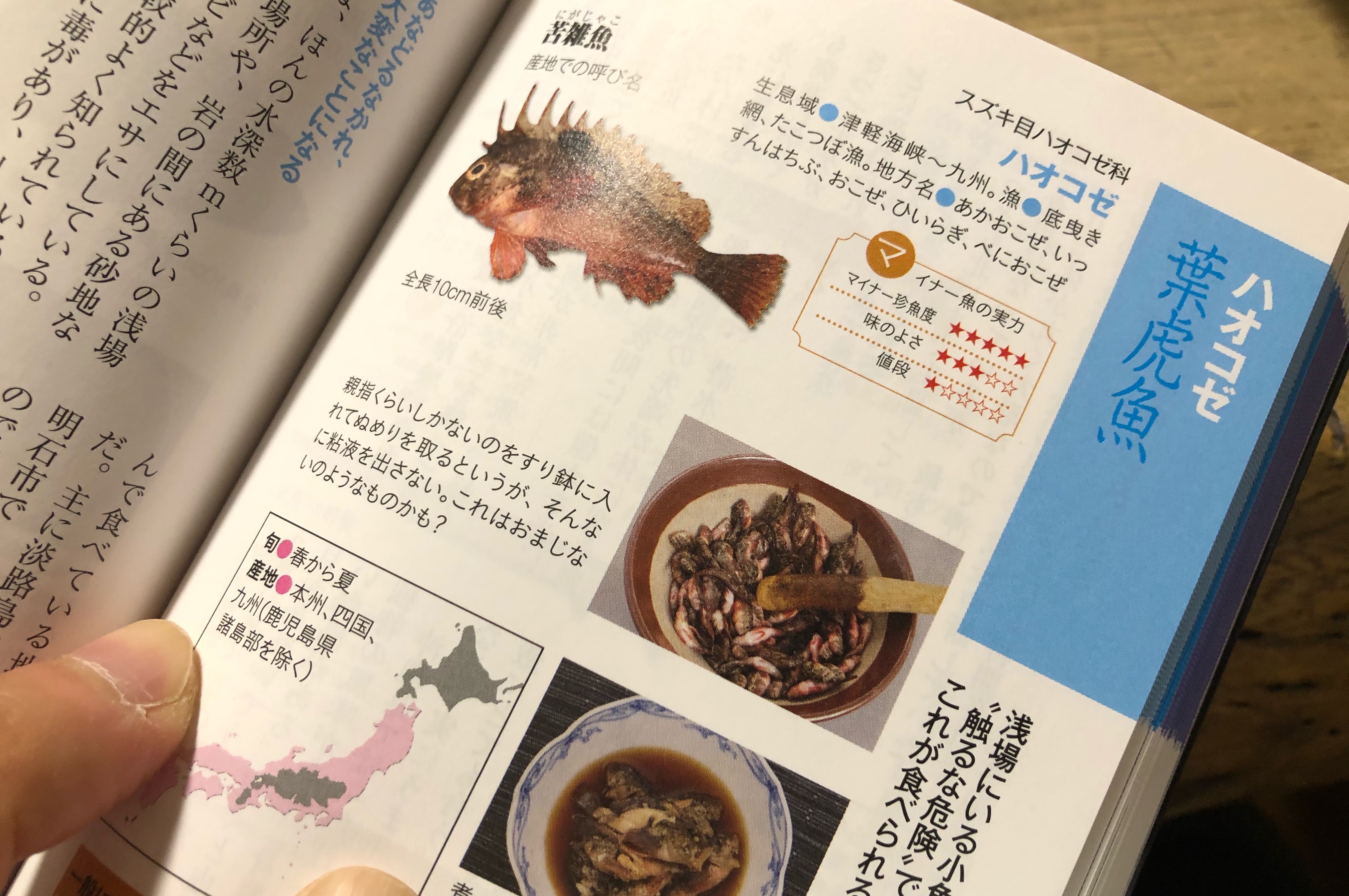 全国に1ヶ所だけハオコゼを食べる地域があるらしい Blue Tetristの釣りノート 全国に1ヶ所だけハオコゼを食べる地域があるらしい Blue Tetristの釣りノート