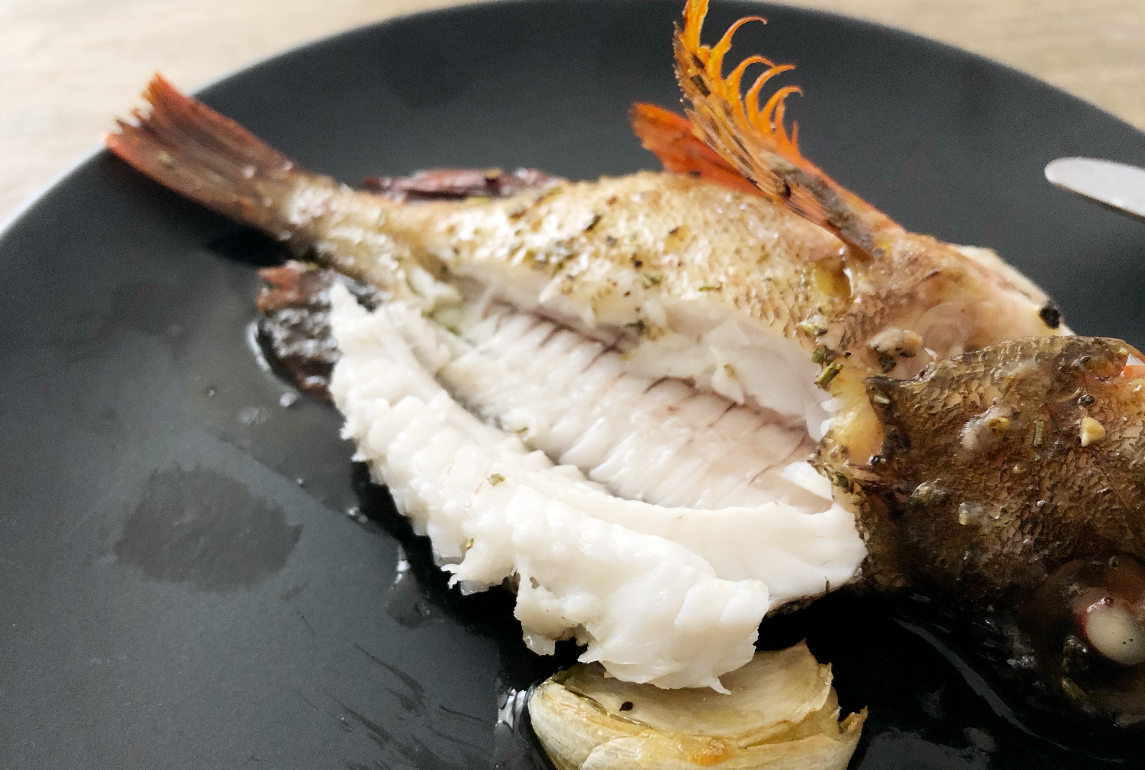 須磨浦漁港で半夜釣り ガシラのオーブン焼きは塩とオリーブ油だけでも Blue Tetristの釣りノート