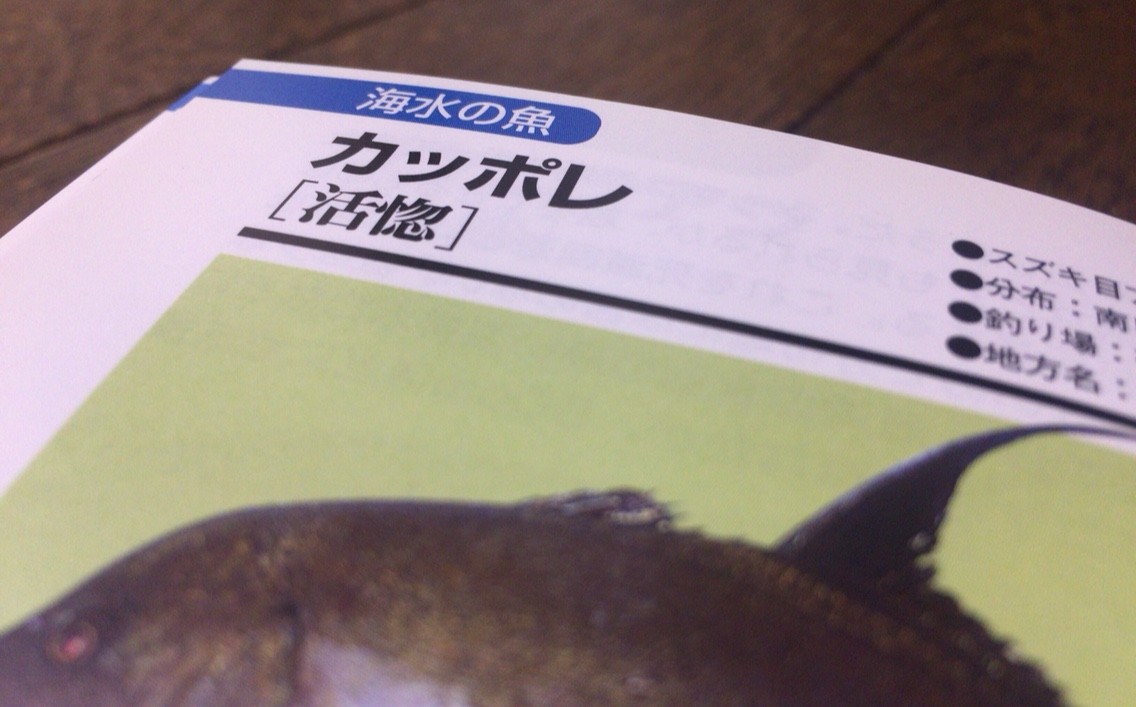 全釣り師の 必需品 おすすめ魚図鑑 Blue Tetristの釣りノート 全釣り師の 必需品 おすすめ魚図鑑 Blue Tetristの釣りノート