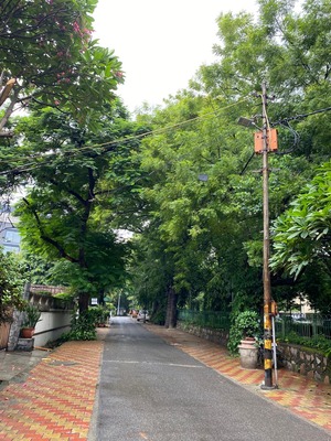 WhatsApp Image 2024-09-15 at 18.58.18