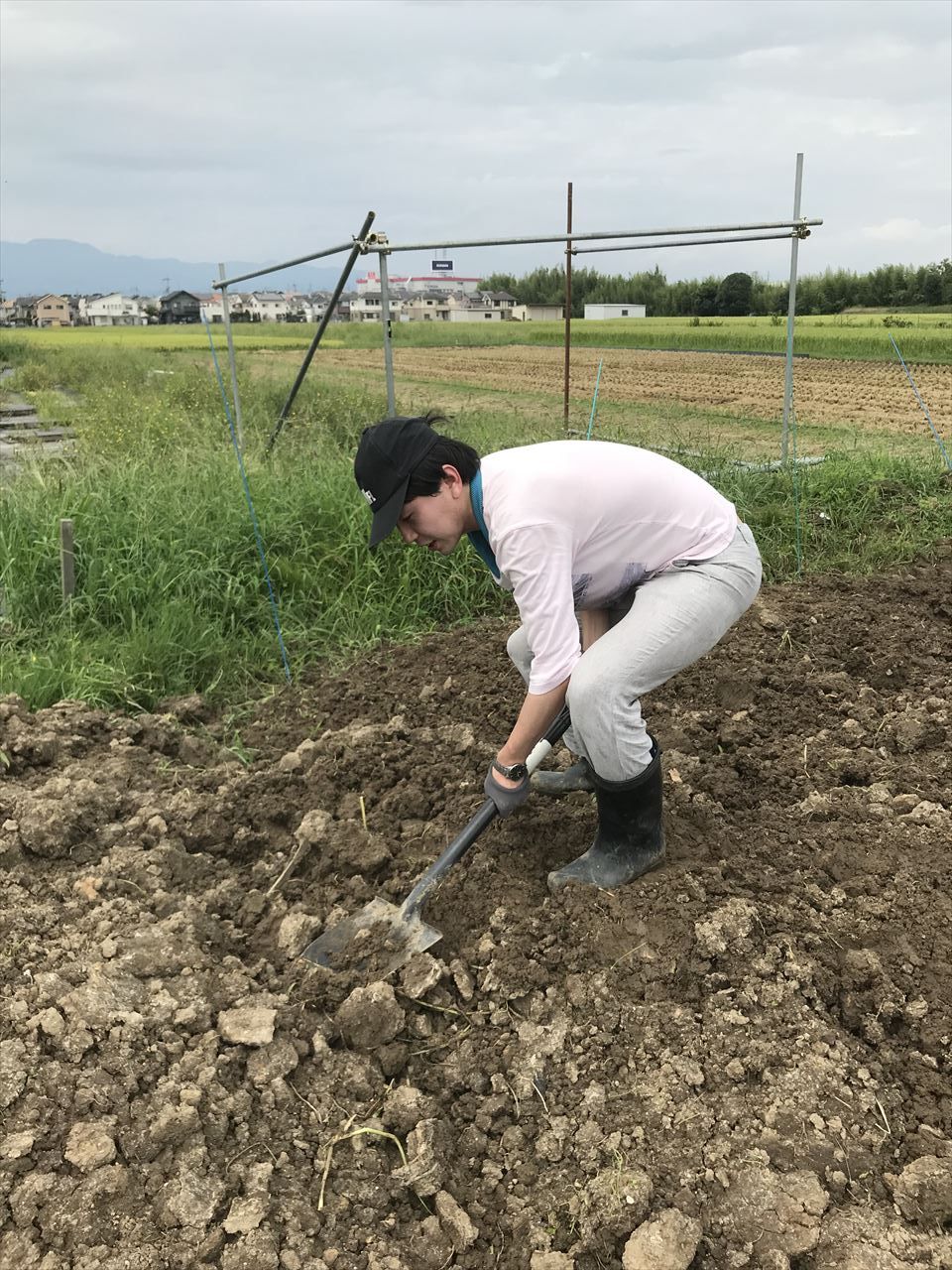 畑作業 土作り9月1日 野菜作りで人生楽しむ 畑作業 土作り9月1日 野菜作りで人生楽しむ
