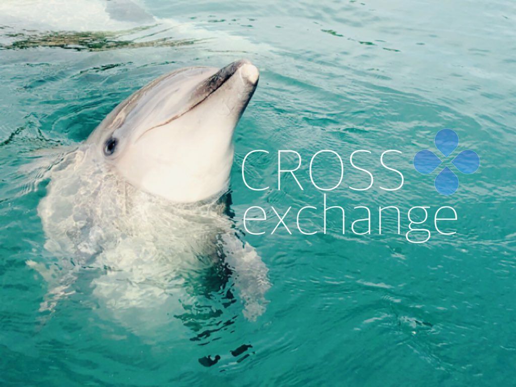 CROSS exchange 登録とマイニング方法 : オレ流日記 SPECIAL