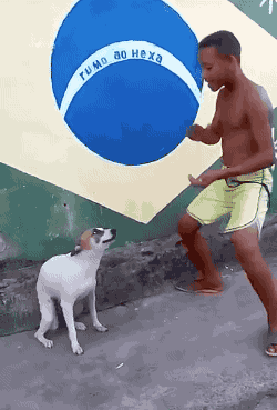 なんj民 犬は柴犬だけは好きだわ 今日の立ち読みまとめ なんj民 犬は柴犬だけは好きだわ 今日の立ち読みまとめ
