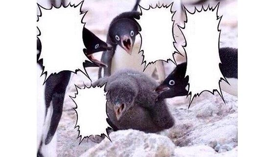ペンギンコラ解説 コラージュまとめ速報 ペンギンコラ解説 コラージュまとめ速報