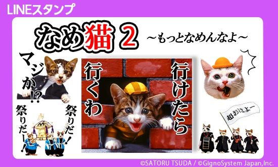 なめんなよ ポケモンｇｏ ゲットしたらｌｉｎｅで報告 猫キックjapan