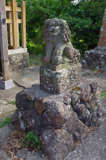 s-IMGP6591