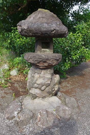 s-IMGP6576