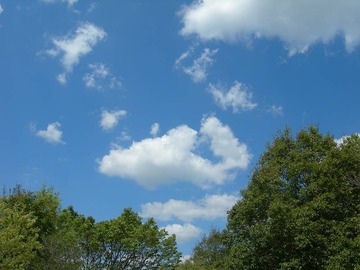s-DSCN9349