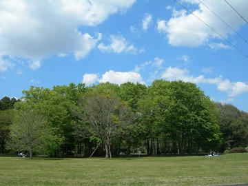 s-DSCN9333