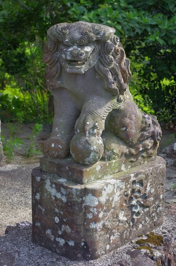 s-IMGP6592