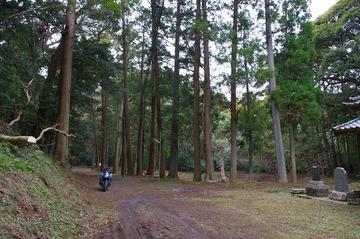 IMGP3252